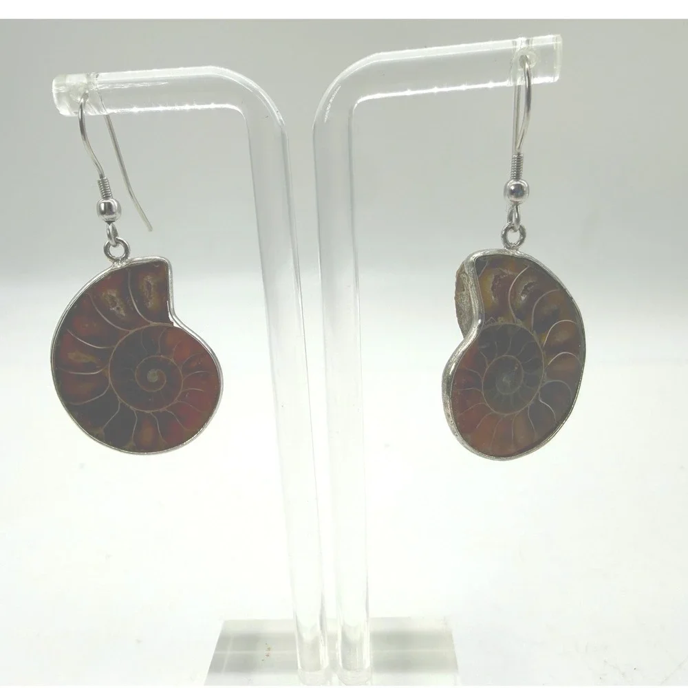 Natural Ammonite Fossil Dangle Earrings Polished Spiral Earthy Boho Brown Gift